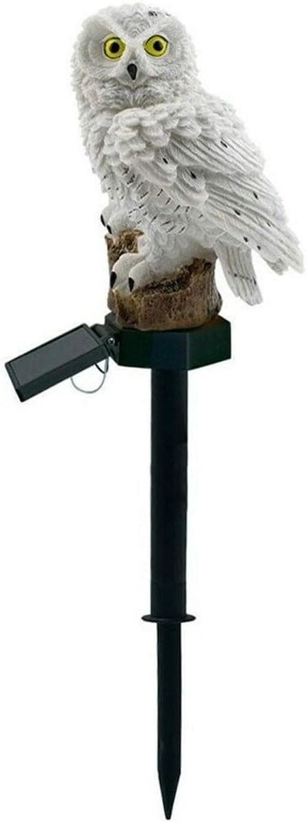 LED Solar Tuinlamp met Accentverlichting voor Tuin en Balkon
