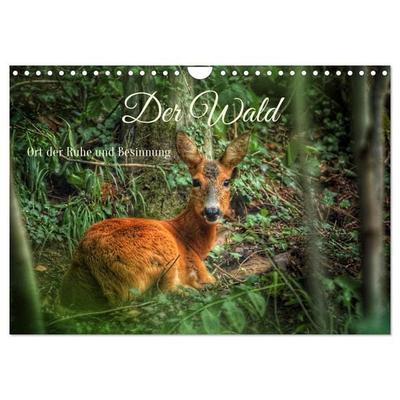 Der Wald - Ort der Ruhe und Besinnung (Wandkalender 2026 DIN A4 quer), CALVENDO Monatskalender