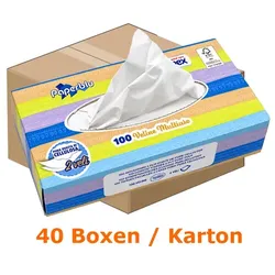 Paperdi Paperblu 2-lagig weiß Kosmetiktücher 40 Boxen samtweiche weiße Kosmetiktücher