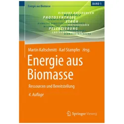 Energie aus Biomasse, Fachbücher von Martin Kaltschmitt, Karl Stampfer
