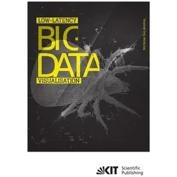 Low-latency big data visualisation, Fachbücher von Nicholas Tan Jerome