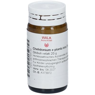Chelidonium E planta tota D 6 Globuli 20 g