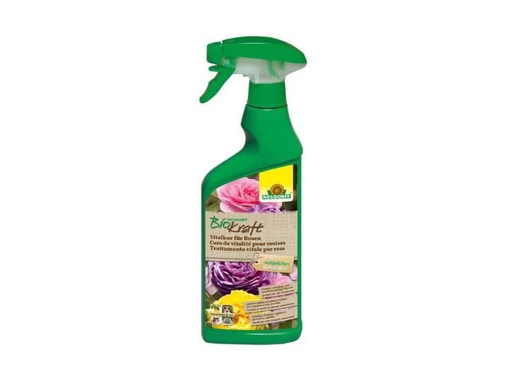 Neudorff Biokraft Vitalkur für Rosen 0.5 l