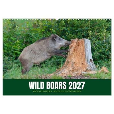 Wild Boars (Wall Calendar 2027 DIN A2 landscape), CALVENDO 12 Month Wall Calendar