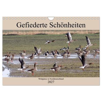 Gefiederte Schönheiten - Wildgänse in Norddeutschland (Wandkalender 2027 DIN A4 quer), CALVENDO Monatskalender