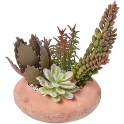 KUNSTPFLANZEN Sukkulenten-Arrangement in Deko-Schale, 15 cm