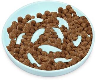 Uplift Treasures Cat Slow Feeder Ceramic Bowl green