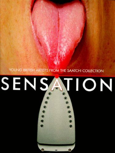 Richard Shone - Sensation Young British Artists from the Saatchi Collection (Paperback) - Preis vom 15.10.2026 23:06:25 h