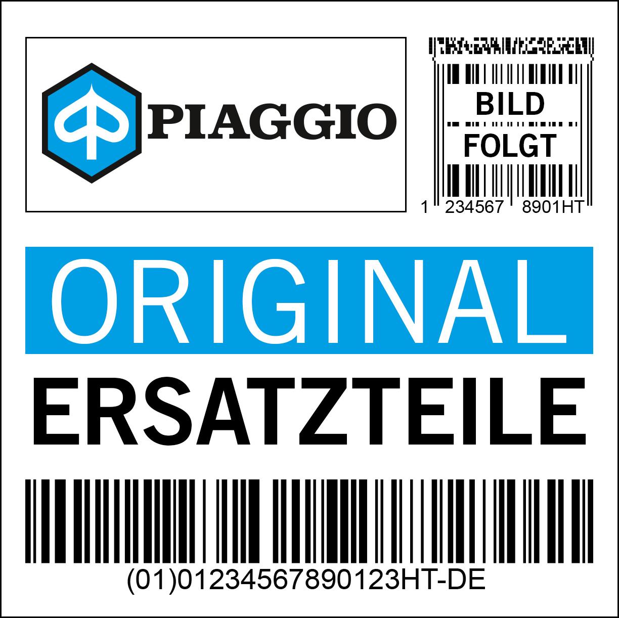 Lager Piaggio, 3123087507000