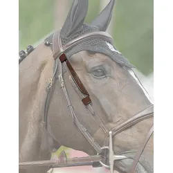 Blinkers DY FEI-zugelassen brown VB