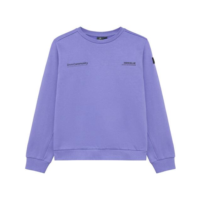 Indian Blue Sweat 960752