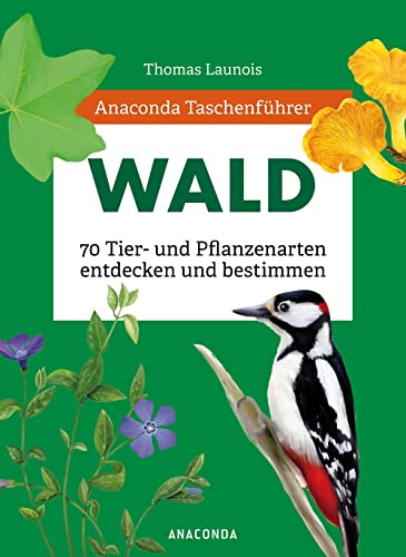 Thomas Launois - Anaconda Taschenführer Wald: 70 Tier- und Pflanzenarten entdecken und bestimmen - Preis vom 11.10.2026 03:10:56 h