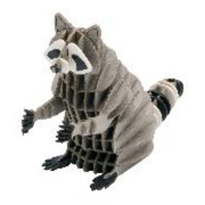3D-Modell, Waschbär