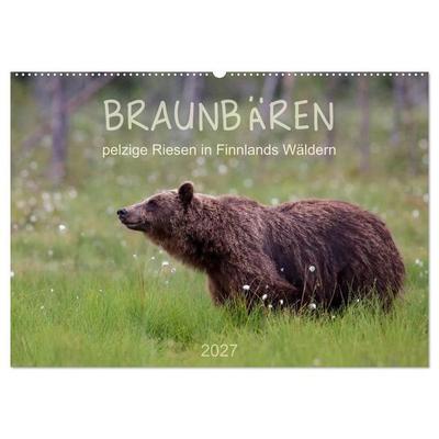 Braunbären - pelzige Riesen in Finnlands Wäldern (Wandkalender 2027 DIN A2 quer), CALVENDO Monatskalender