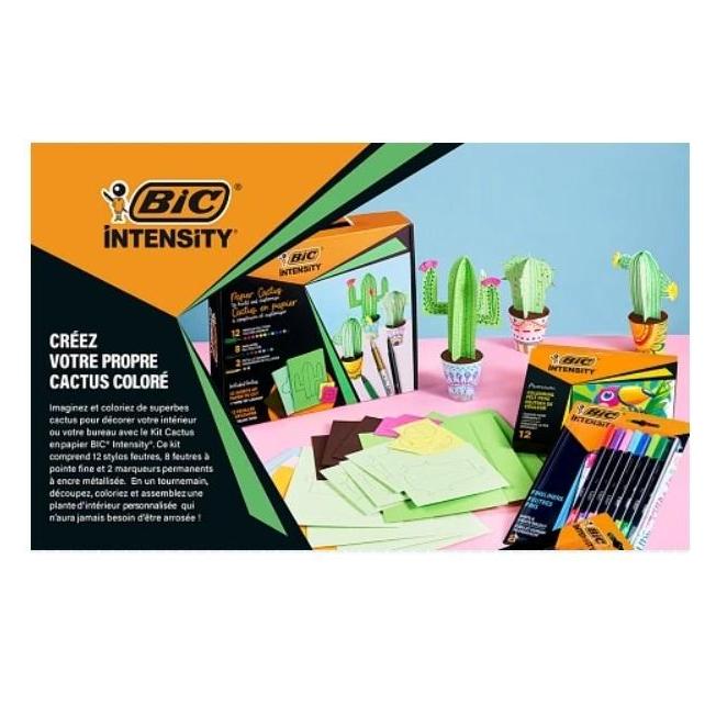 Bic Intensity Papierkaktus-Set (54621941)