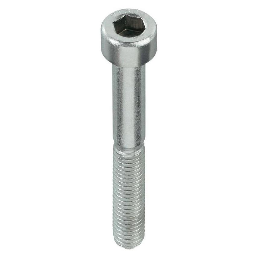 Haushalt BOLTS DIN912 M10X100 ZN (50) (50 Stk.) (60389571)