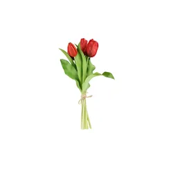 Tulpenbund   ¦ rot ¦ Kunststoff ¦ Maße (cm): H: 28