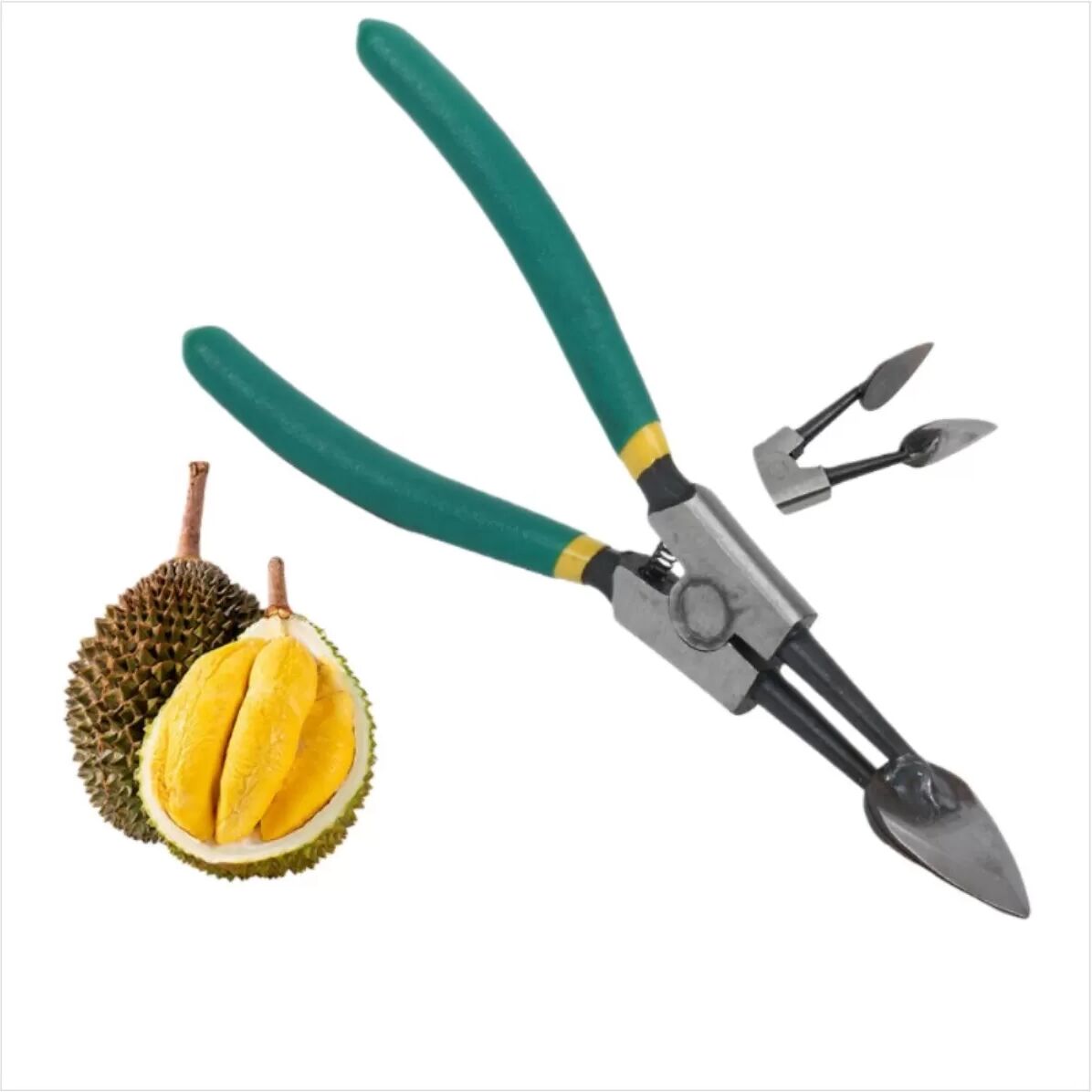 INF 7-Zoll Durianöffner Zange: Müheloses Öffnen von Durians Ohne Beschädigung der Frucht
