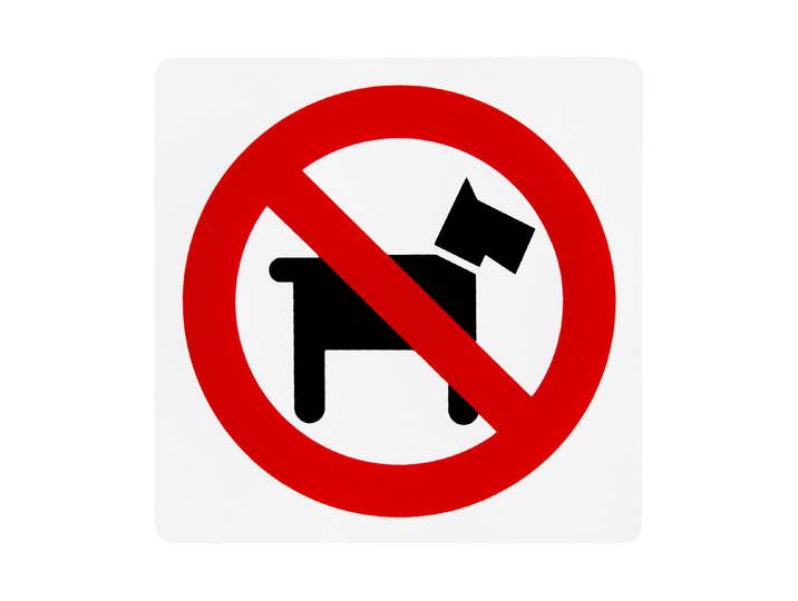 Schild «Keine Hunde» 15 × 15 cm