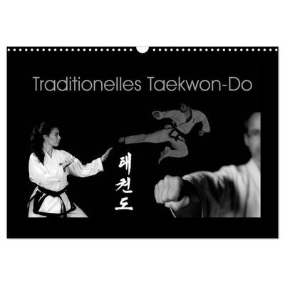 Traditionelles Taekwon-Do (Wandkalender 2027 DIN A3 quer), CALVENDO Monatskalender