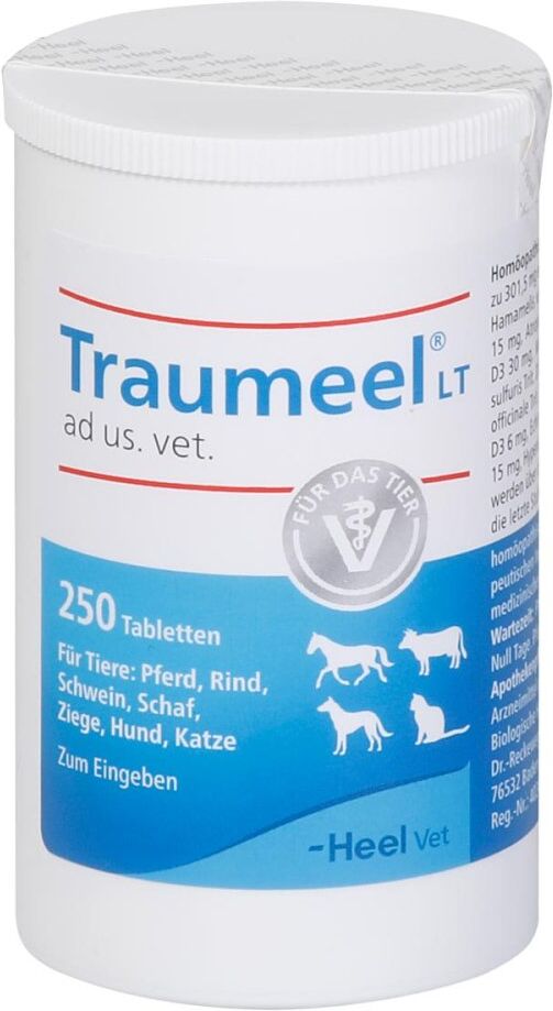 Traumeel LT ad us. vet. Tabletten