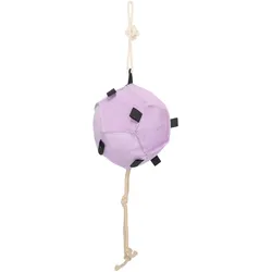 Imperial Riding Horse Ball IRHVolley up ballerina Pferdespielzeug Belohnung Beschäftigung