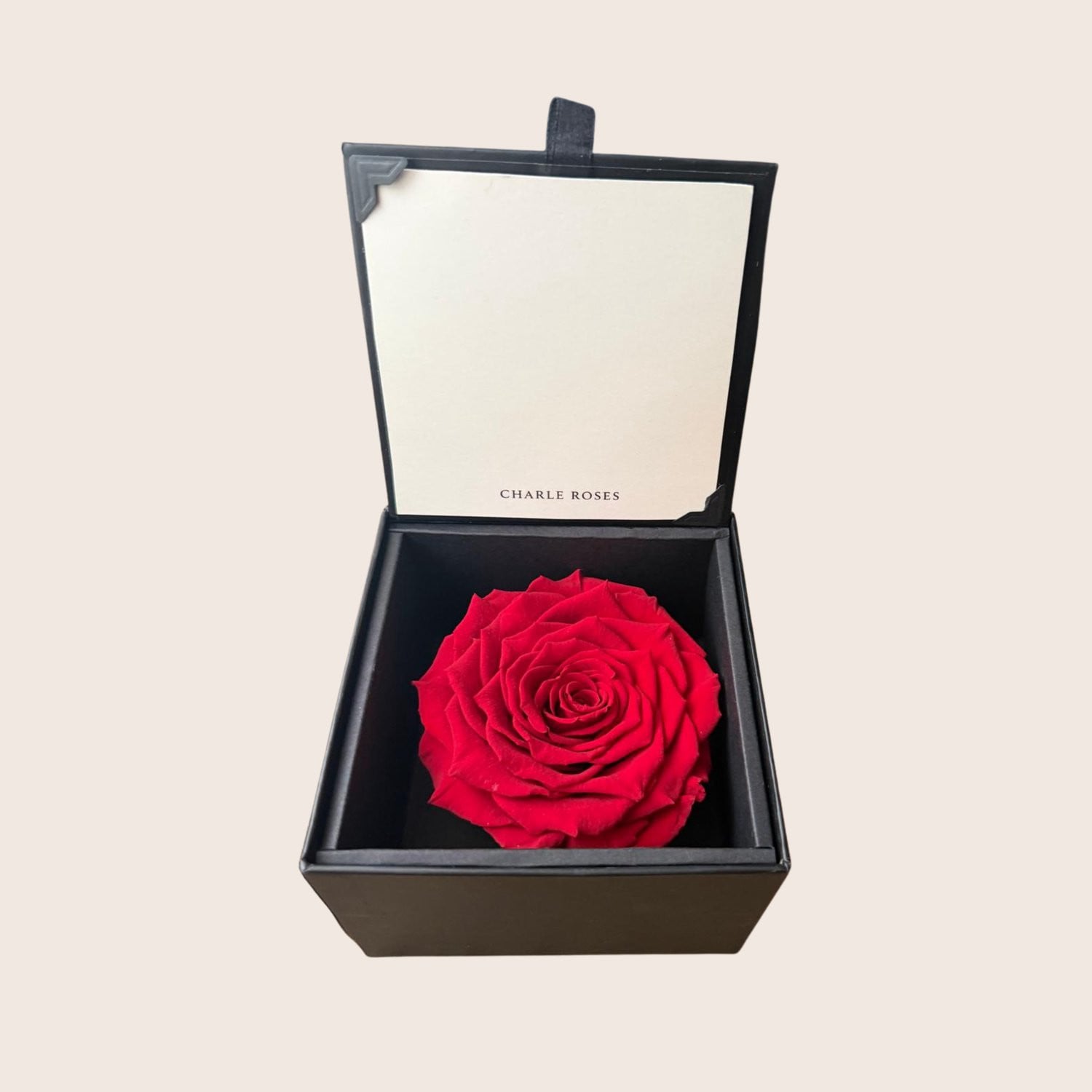 Charle Roses Classic Houdbare Roos in Stijlvolle Cadeaudoos
