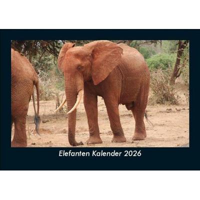 Elefanten Kalender 2026 Fotokalender DIN A5