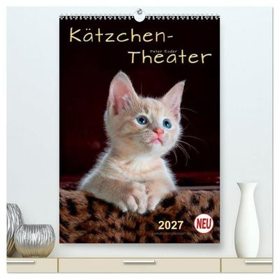 Kätzchen - Theater (hochwertiger Premium Wandkalender 2027 DIN A2 hoch), Kunstdruck in Hochglanz