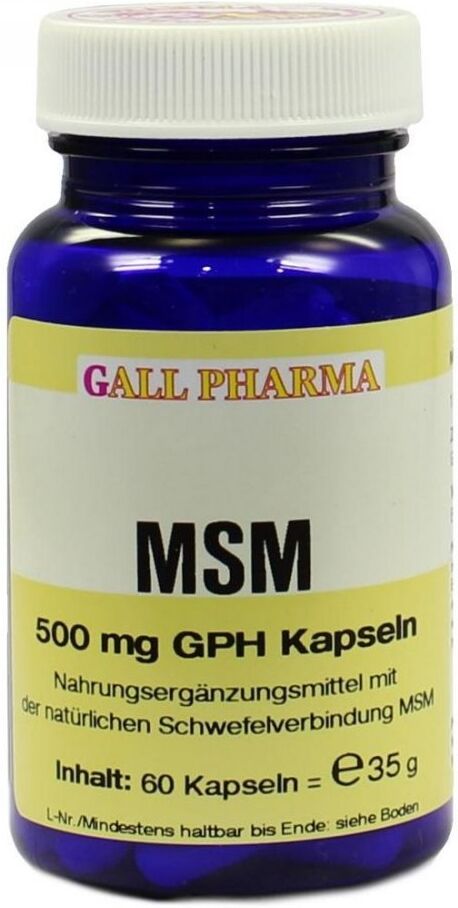 Msm 500 mg Gph Kapseln