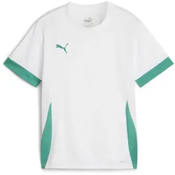 PUMA teamGOAL Matchday Trikot Kinder 15 - PUMA white/sport green/sport green 116