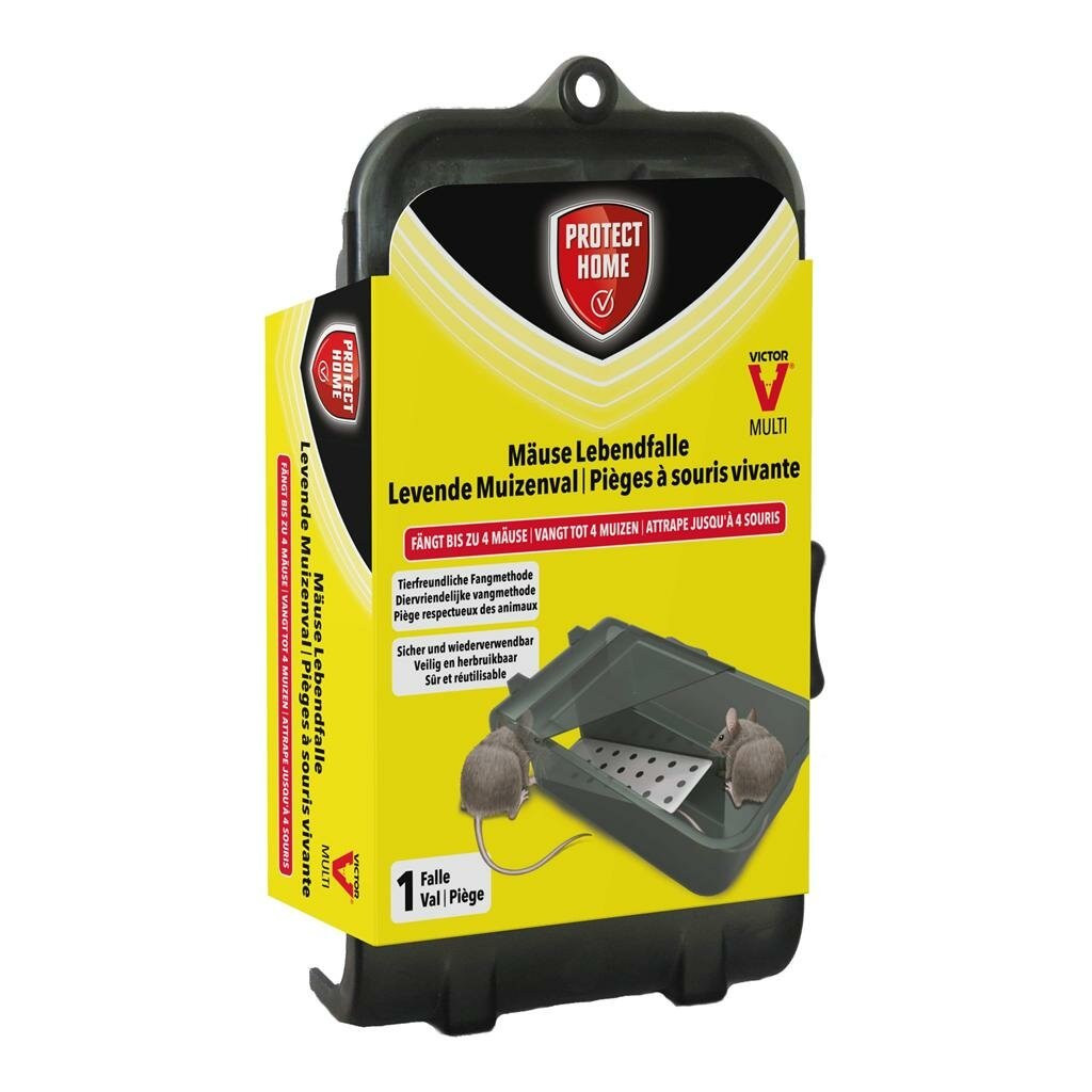 SBM Bayer Protect Home muizenvallen Catch and Hold