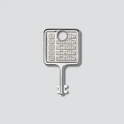 Siedle&Söhne Schlüssel für Montagerahmen Edelstahl gebürstet MR 511/512513/514524