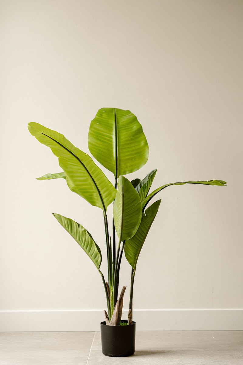 Indore Silva Strelitzia Kunstplant met pot - 120 cm - Groene kamerplant