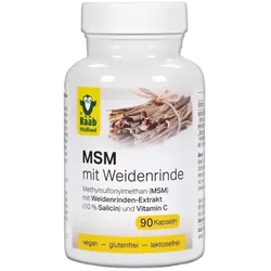 Raab MSM mit Weidenrinde Kapseln (90St)