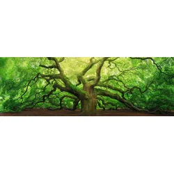 Bild OLD OAK (BH 118x40 cm) - bunt - BH 118x40 cm