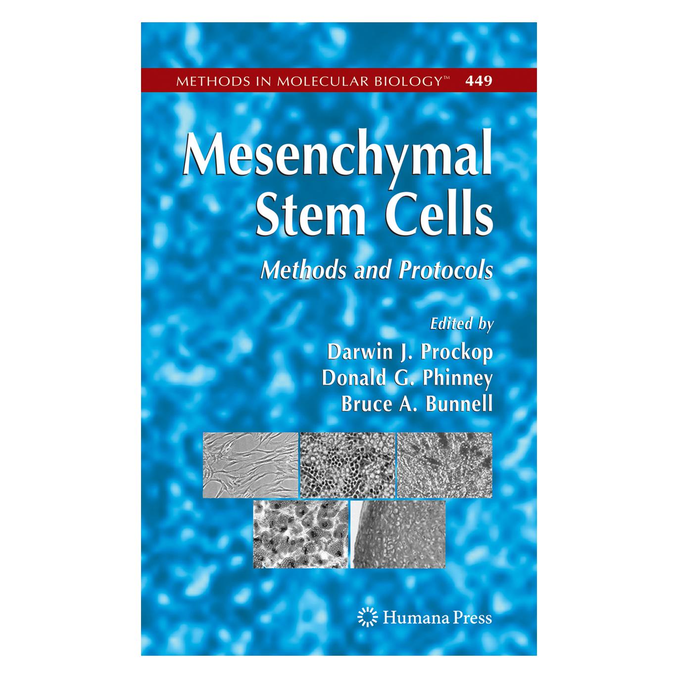Springer Mesenchymal Stem Cells (Englisch, Softcover, Bruce A. Bunnell, Darwin J. Prockop, Donald G. Phinney) (55383279)