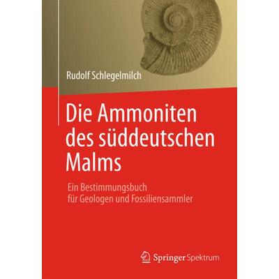 Die Ammoniten des süddeutschen Malms, Gebundene Ausgabe von Rudolf Schlegelmilch, Spektrum der Wissenschaft, 978-3-8274-3102-8