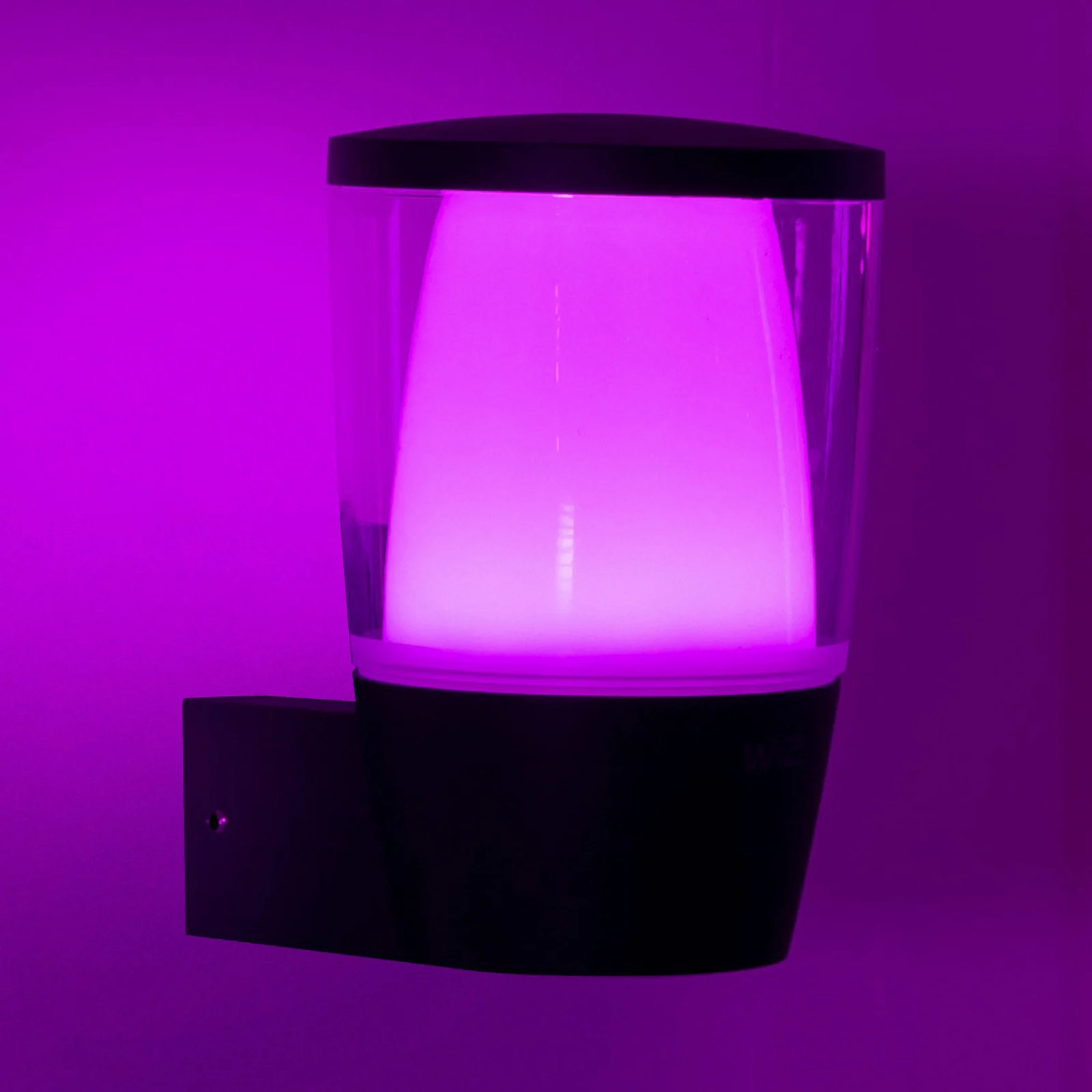 WiZ Elpas Buiten Wandlamp Black - Modern LED Wandlamp van Kunststof