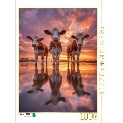 CALVENDO Puzzle Alles spiegelt sich neu und der Kreislauf beginnt von vorn | 1000 Teile Lege-Größe 64x48cm Foto-Puzzle für glückliche Stunden