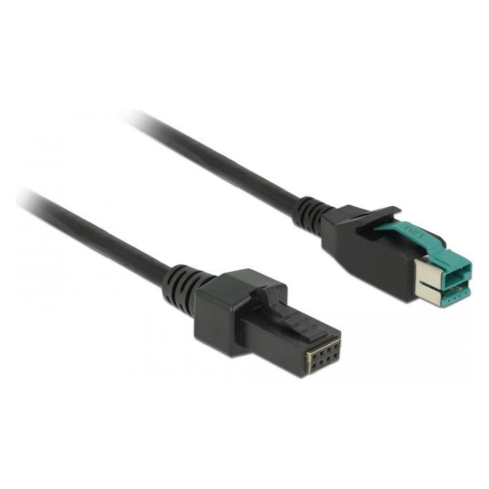 Delock Powered USB-Kabel (3 m, USB 2.0) (85484)