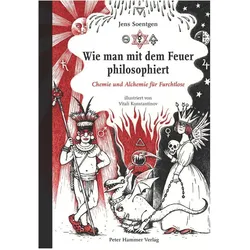 Wie man mit dem Feuer philosophiert, Sachbücher von Soentgen Jens