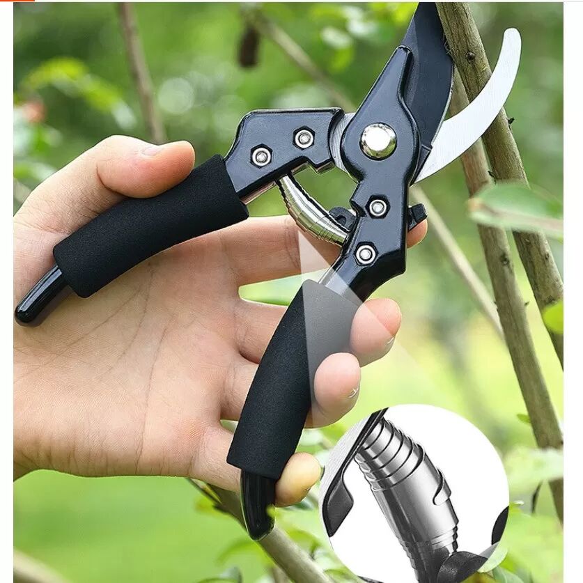 INF Sécateur Multifonctionnel - Ciseaux de Jardin en Acier SK5 pour Tailler les Branches et Cueillir les Fruits