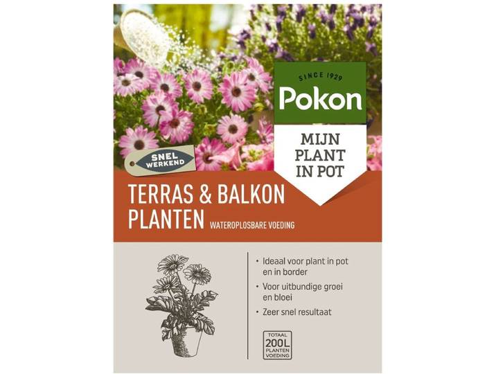 Pokon Terras & Balkon Planten Voeding - 500gr - Wateroplosbaar - Stimuleert groei en bloei