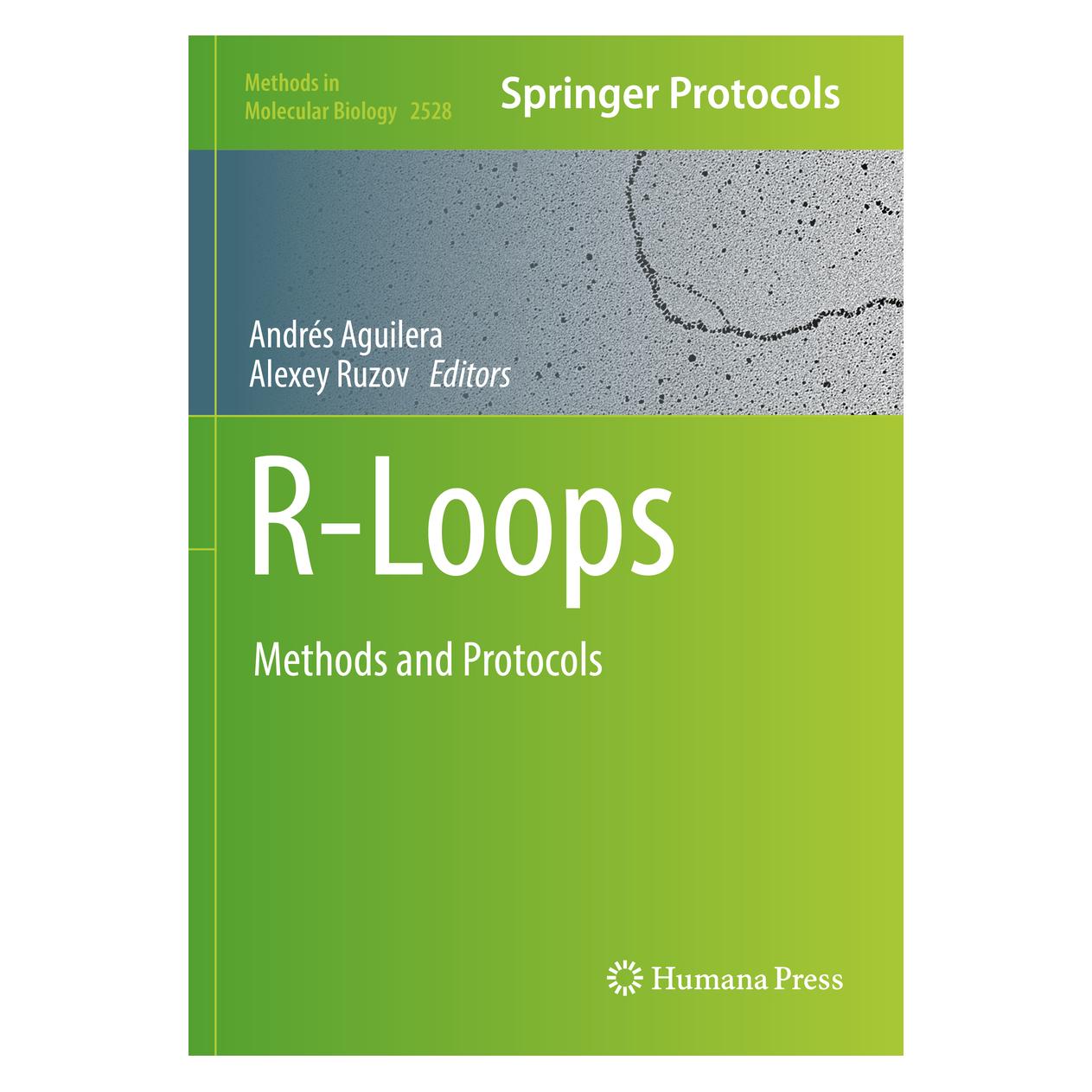 Springer R-Loops (Englisch, Softcover, Alexey Ruzov, Andrés Aguilera) (56954180)