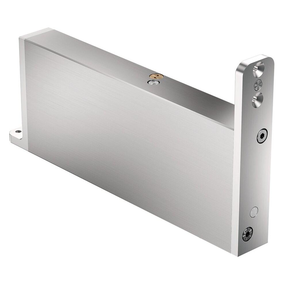 FritsJurgens Ficci per porte acciaio inox opaco 20... 159kg (BPM+40BXSS)
