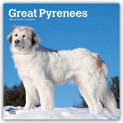 Great Pyrenees – Pyrenäenberghund 2027 – 16-Monatskalender