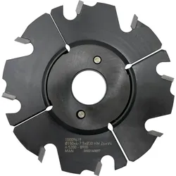 AKE HW Verstellnuter 160X10-19,5X30 Z4/V4 HW - 40004980