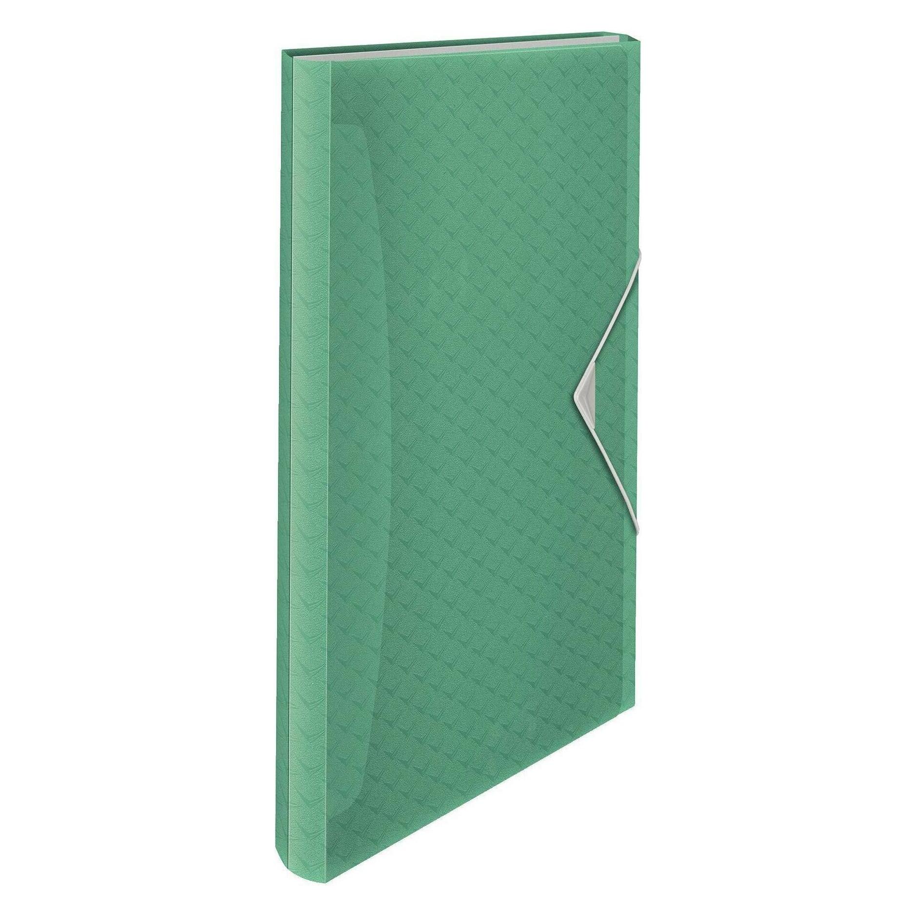 Esselte Colour'Ice (A4) (626253)