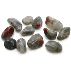 Bag of 12 Medium African Tumble Stones - Bloodstone - Sephtonite